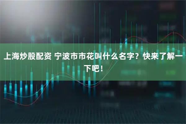 上海炒股配资 宁波市市花叫什么名字？快来了解一下吧！
