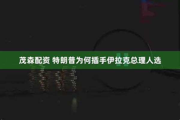 茂森配资 特朗普为何插手伊拉克总理人选