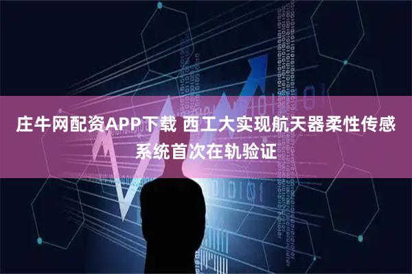 庄牛网配资APP下载 西工大实现航天器柔性传感系统首次在轨验证